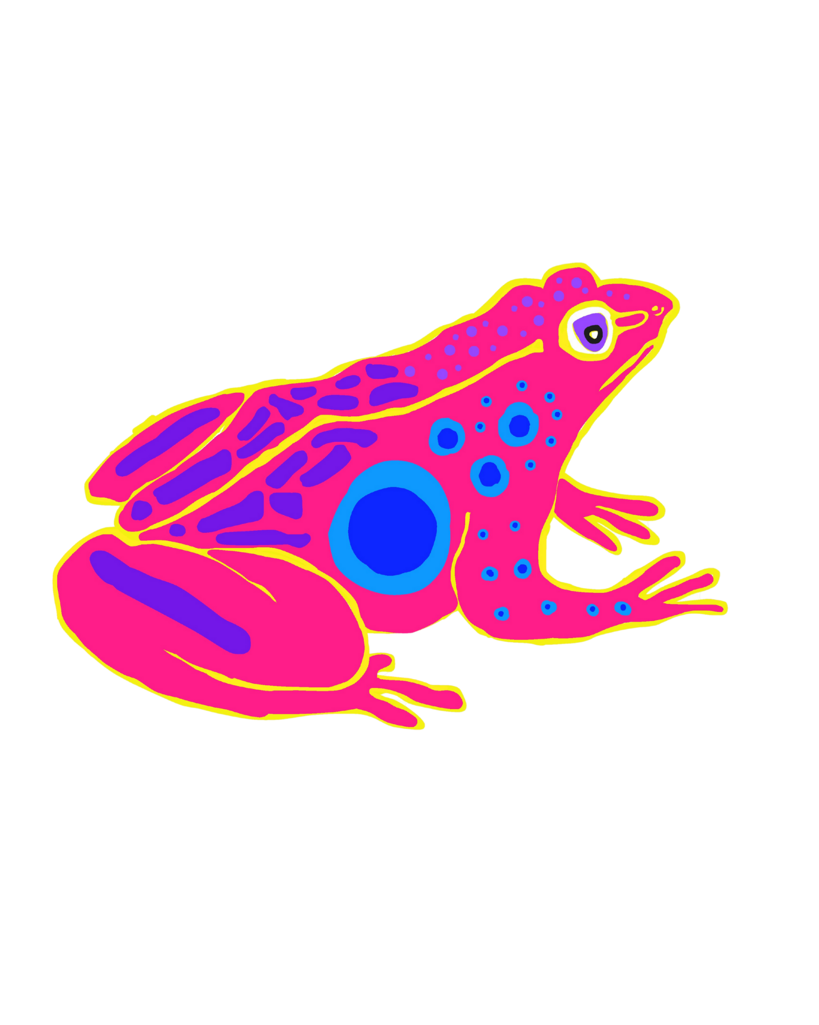 Vibrant Frog Art Print
